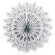 photo-2990706
