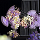 photo-2985752