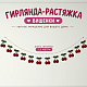 photo-2990383