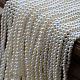 photo-2970314